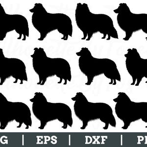 May include: A collection of black silhouette images of a Shetland Sheepdog, also known as a Sheltie, in a standing profile. The image includes the file type formats: SVG, EPS, DXF, and PNG.