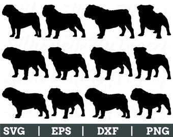 Olde English Bulldogge Svg, English Bulldogge Silhouette, Dog Breed Vector, Dxf, Png