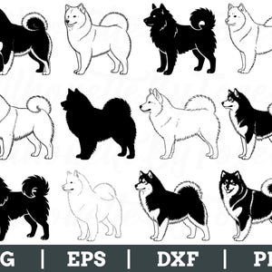 May include: A set of dog illustrations in black and white, depicting different poses of a fluffy dog breed. The images are available in SVG, EPS, DXF, and PNG formats, ideal for digital design projects.