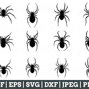 Spider Svg, Spider Cut File, Spider Silhouette, Spider Dxf, Jpeg, Png