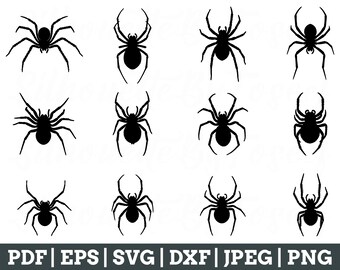 Spider Svg, Spider Cut File, Spider Silhouette, Spider Dxf, Jpeg, Png