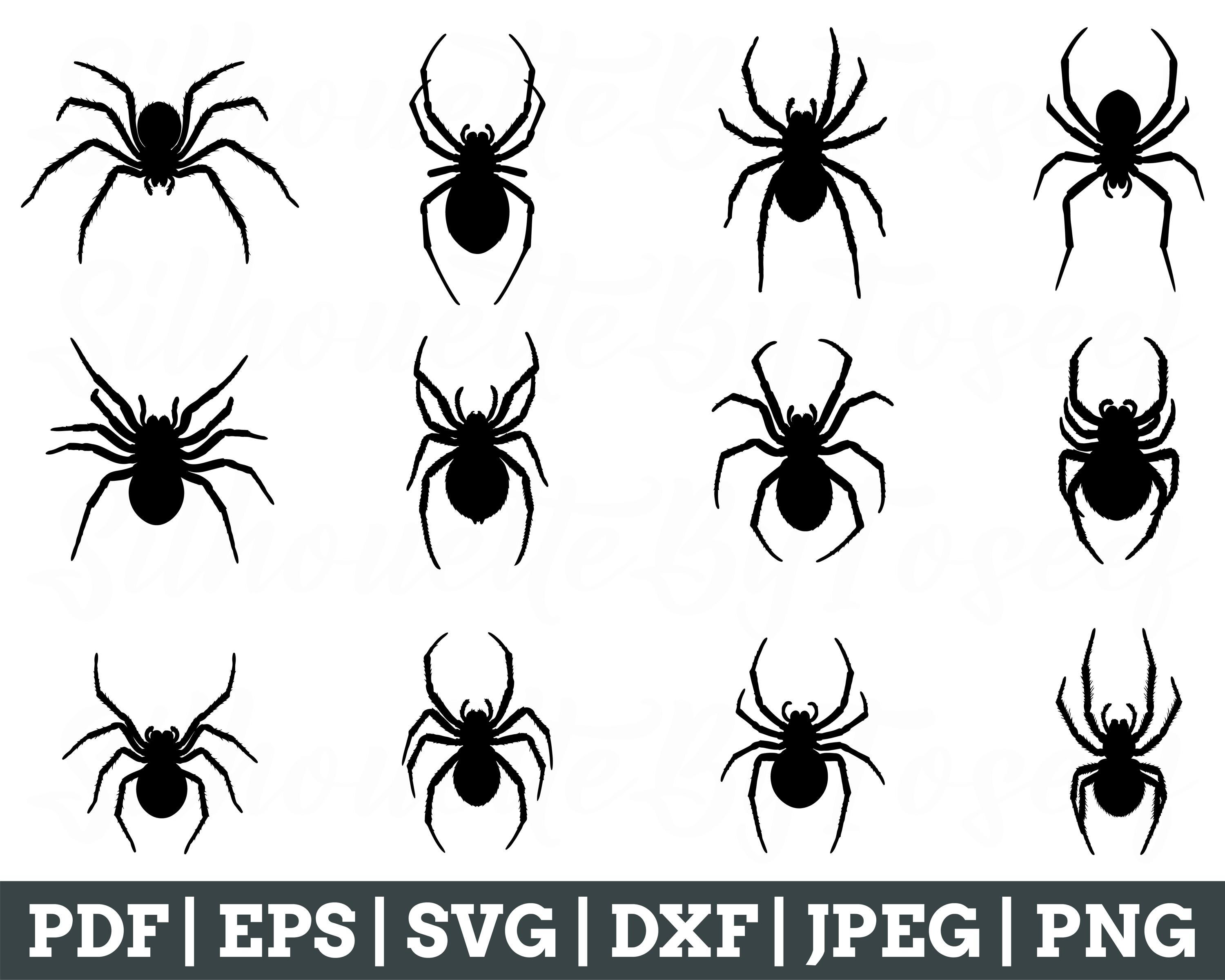 Spider Svg, Spider Cut File, Spider Silhouette, Spider Dxf, Jpeg, Png ...