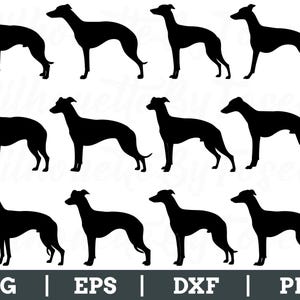 Whippet Hund Silhouette, Whippet Vektor, Whippet Dxf, Png