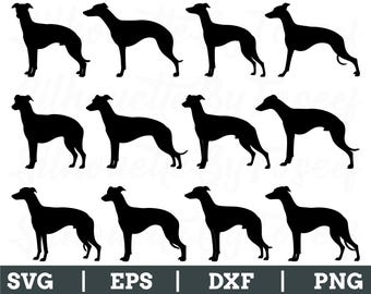 Whippet Dog Svg, Whippet Silhouette, Whippet Vector, Whippet Dxf, Png