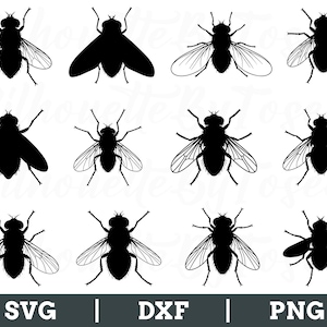 Könnte beinhalten: Eine Ansammlung schwarzer Fliegen-Silhouetten in verschiedenen Posen, mit detaillierten Flügel- und Körperdesigns. Das Bild enthält den Text "SVG | DXF | PNG" am unteren Rand, der Dateiformate für die digitale Nutzung angibt. Die Fliegen sind in einem Raster angeordnet.