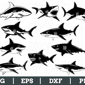 Sharks Svg, Shark Silhouette, Outlined Shark Vector, Sharks Cut File, Dxf, Png