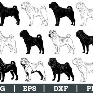 Chinese Shar Pei Dog Svg, Chinese Shar Pei Silhouette, Dog Breed Vector, Dxf, Png