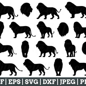 Löwe SVG, Löwe Silhouette, Löwe Vektor, Löwe Cricut, Löwe geschnitten Datei, Jpeg, Png