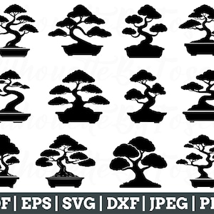 Bonsai Svg, Bonsai Silhouette, Bonsai Cut File, Bonsai Vector, Jpeg, Png
