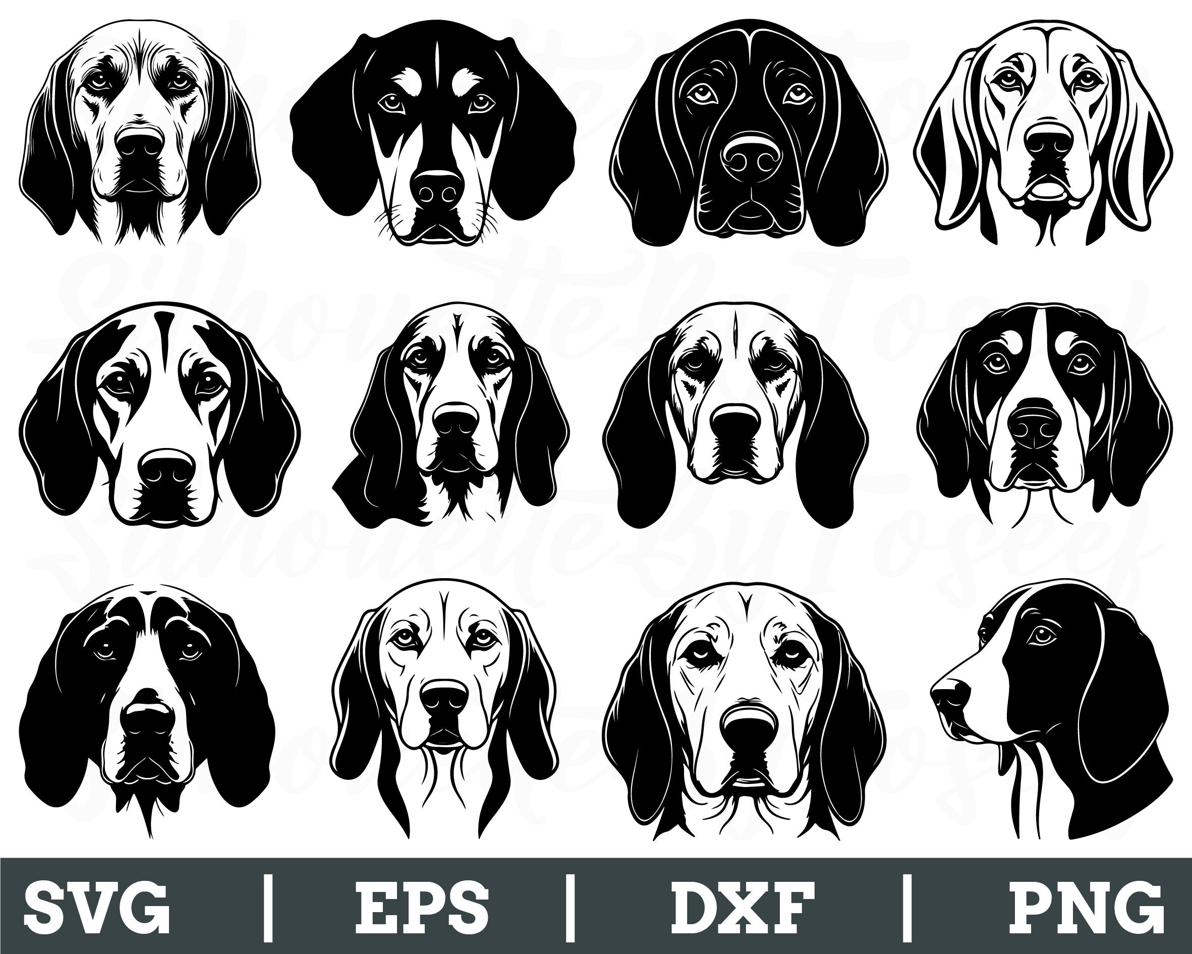 Por qué sigue teniendo pulgas?, image size:2363x1891