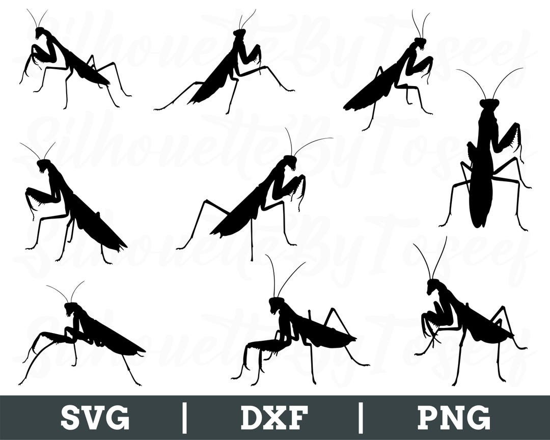 Simple Mantis Vector Mantis Svg, Mantis Vector, Mantis Silhouette, Mantis Cricut, Mantis Dxf ...