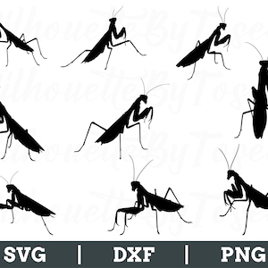 Mantis Svg, Mantis Vector, Mantis Silhouette, Mantis Cricut, Mantis Dxf, Png