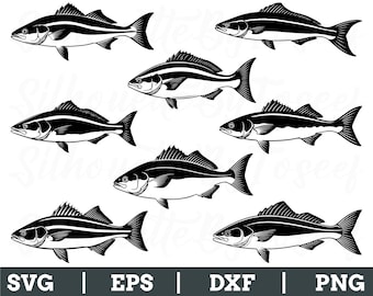 Cobiafisk Svg, Cobiafisksilhuett, Cobiafiskvektor, Dxf, Png