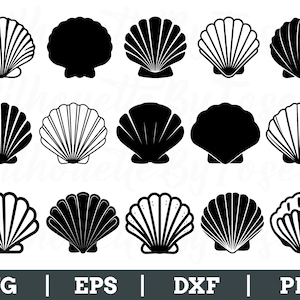 Seashells Svg, Seashell Silhouette, Seashell Cut File, Seashell Vector, Dxf, Png