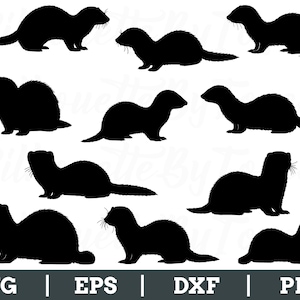 May include: A collection of black ferret silhouettes in various poses. The image features multiple ferret outlines, each with a distinct posture, set against a white background. The bottom of the image includes the text "SVG | EPS | DXF | PNG".