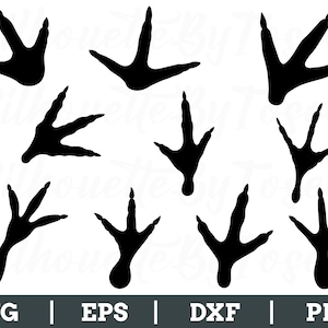 May include: Black silhouette images of various bird footprints. The image includes multiple sets of footprints in different sizes and orientations. The bottom of the image displays the file types: SVG, EPS, DXF, and PNG.