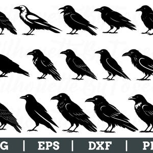 Raven Svg, Raven Silhouette, Raven Vector, Raven Dxf, Png