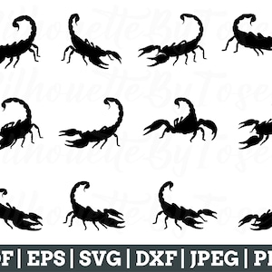 Scorpion Svg, Scorpion Cut File, Scorpion Silhouette, Scorpion Cricut, Scorpion Vector, Jpeg, Png