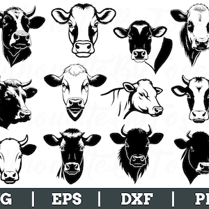 May include: A collection of black and white cow head illustrations in various poses. The images include detailed depictions of the animals' faces, horns, and ears. The bottom of the image displays the text "SVG | EPS | DXF | PNG".