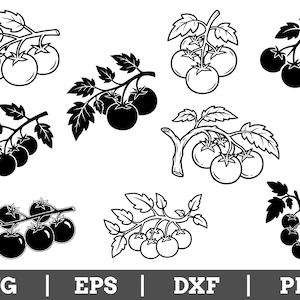 Puede incluir: Ilustraciones vectoriales en blanco y negro de ramas de tomate con diferentes cantidades de tomates. La imagen incluye el texto "SVG | EPS | DXF | PNG" en la parte inferior, indicando formatos de archivo.