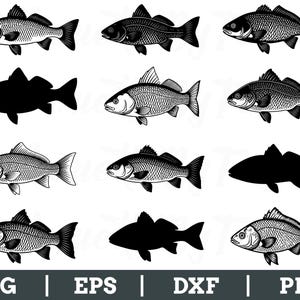 Redfish Svg, Redfish Silhouette, Outlined Redfish Vector, Dxf, Png