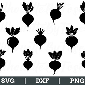 ビートのSVG、ビートのシルエット、ビートのベクター、ビートのDXF、野菜のPNG