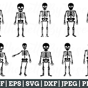 Funny Skeleton Svg, Skeleton Cut File, Skeleton Silhouette, Skeleton Vector, Jpeg, Png