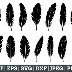 May include: A set of 12 black silhouette feather illustrations. The feathers are all different shapes and sizes, and they are arranged in a random order.