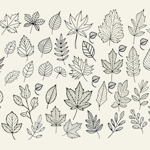 May include: A collection of black line art illustrations featuring various leaf shapes and sizes. The set includes maple, oak, and serrated leaves with detailed vein patterns, arranged in a scattered pattern against a solid light cream background.