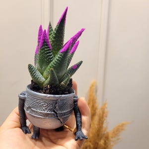 Warrior Jar Planter: Alexander Pot - Elden Ring Inspired Decor ( Real Photo - No Shop )