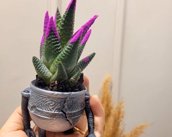 Warrior Jar Planter: Alexander Pot - Elden Ring Inspired Decor ( Real Photo - No Shop )