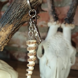 Op de afbeelding: Een handgemaakte sleutelhanger met een gesneden hanger van geweien. De hanger heeft een spiraalvorm met bruine en witte banden. De sleutelhanger heeft een zilverkleurige sluiting en sleutelring. De achtergrond omvat een hertengewei en een schedel.