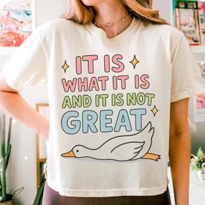 It Is What It Is And It Is Not Great PNG | Trending PNG | Popular PNG | Cute Goose Png | Sarcastic Sticker Png | Silly Goose Png | Meme Png