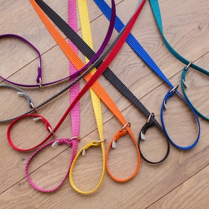 Slip Lead, Slip Leashes, kennel lead, show lead, collar leash - 20 colors and several lengths