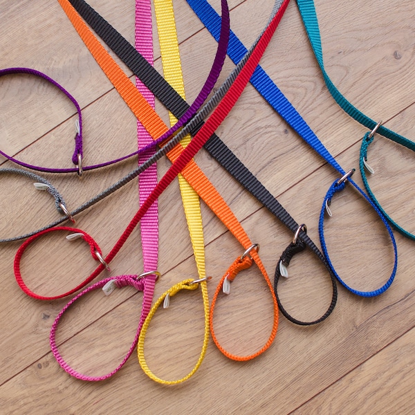 Slip Lead, Slip Leashes, kennel lead, show lead, collar leash - 20 colors and several lengths