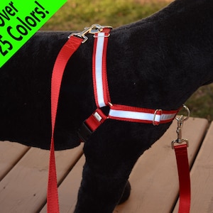 Reflective Dual-Attach No-Pull Harness™, front attach, back attach, training harness - 20 colors | FREE buckle personalization!
