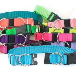 Solid color BREAKAWAY Safety Dog Goat Pig Sheep Collar - many colors - any size - MADE to ORDER