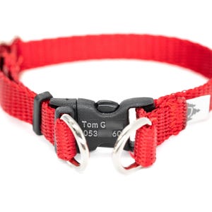 A red breakaway dog collar with a black buckle and two metal rings.