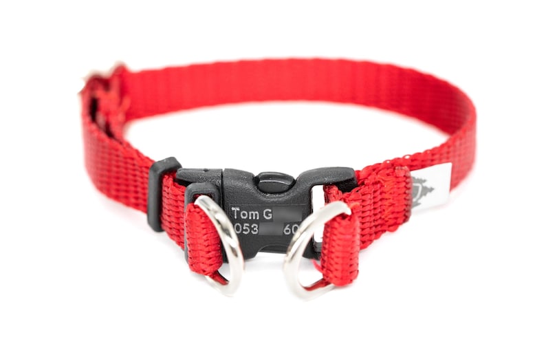 A red breakaway dog collar with a black buckle and two metal rings.