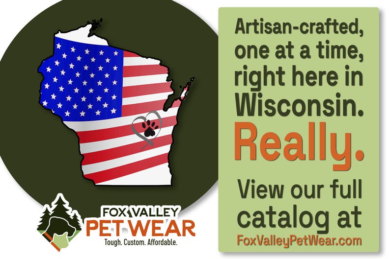 The image is a promotional graphic featuring the state of Wisconsin with the American flag and text promoting a pet wear company.