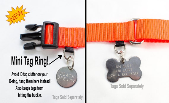Dog collar that holds tags Clearance