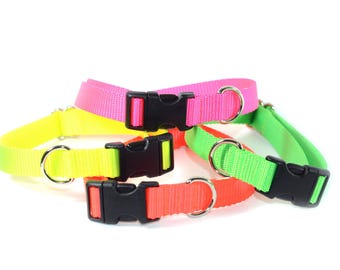 May include: A collection of four nylon pet collars in neon pink, neon yellow, neon green, and neon orange. Each collar features a black plastic side-release buckle, an adjustable slider, and a silver-toned metal D-ring for attaching a leash.