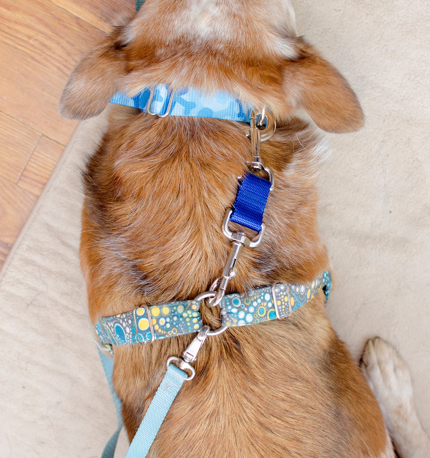 Dog Harness Hanger in Chintz Grey Custom Dog Lead Dog Collar