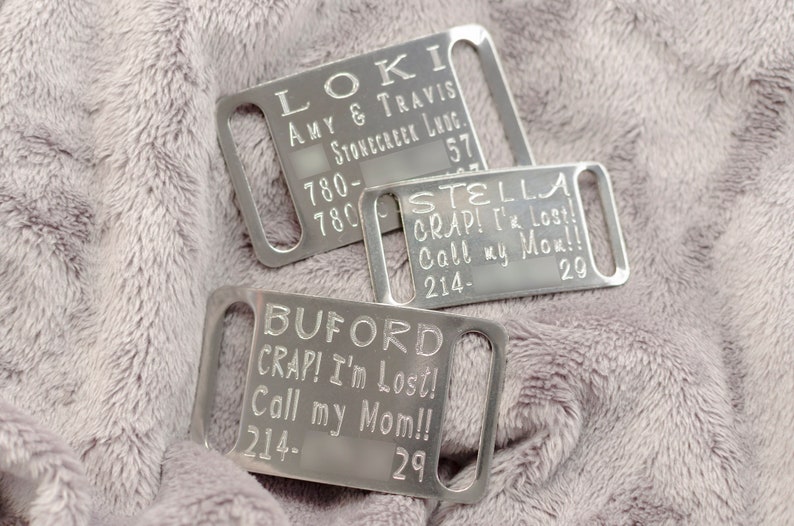 Engraved Builtin ID Tag Pet Tag Silent ID Tag Jingle Free Etsy