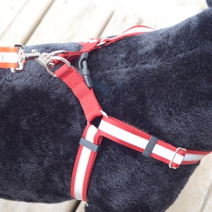 REFLECTIVE Step-In Dog Harness many colors image 2