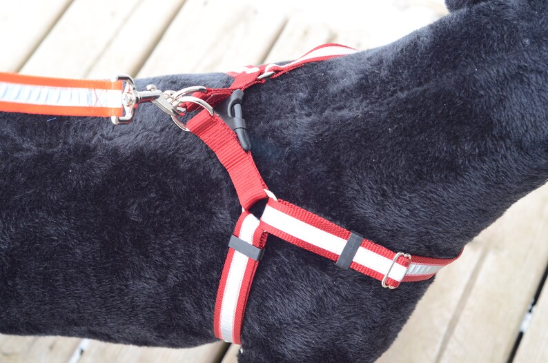 REFLECTIVE Step-In Dog Harness many colors image 2