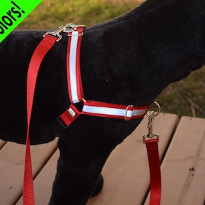 Reflective Dual-Attach No-Pull Harness™, front attach, back attach, training harness - 20 colors | FREE buckle personalization!