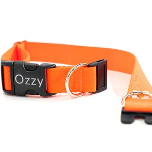 Personalized BREAKAWAY Safety Dog Collar in Neon Orange, Blaze, Hunter, High Vis, Tagless, CNC Engraved Aluminum ID Buckle
