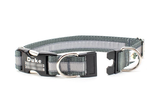 about doberman pinscher