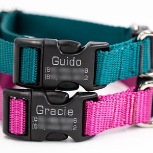May include: Two personalized dog collars, one teal and one hot pink, are stacked. Each collar has a black buckle with a name printed on it. The teal collar says "Guido" and the pink collar says "Gracie". Both collars have silver metal D-rings.